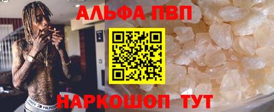 СК Бийск