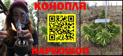 СК Бийск