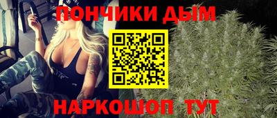 СК Бийск