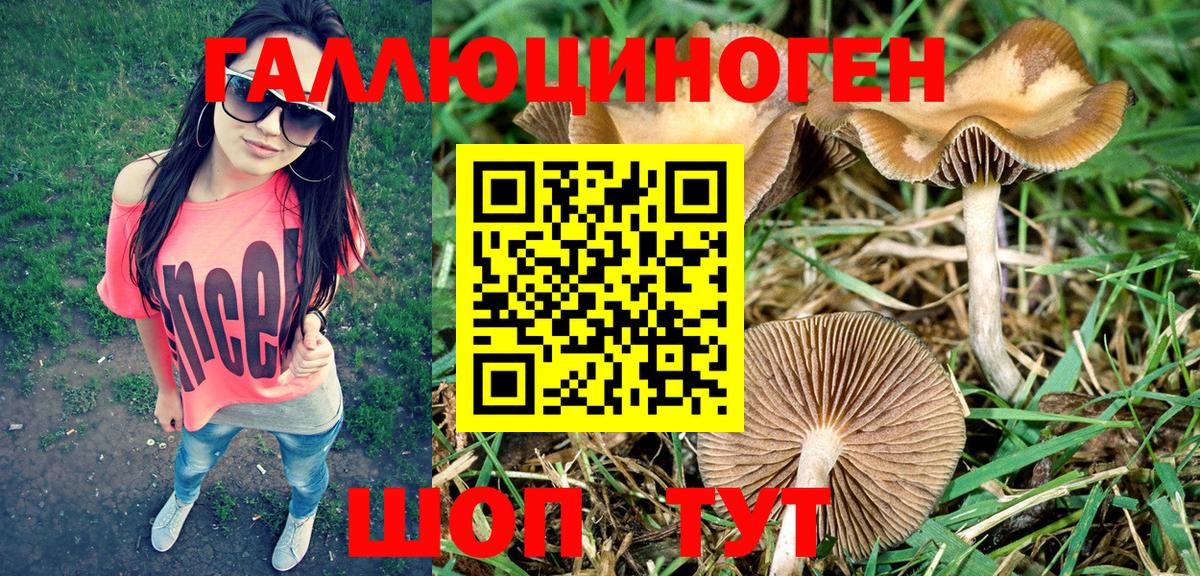 Галлюциногенные грибы Magic Shrooms Владивосток