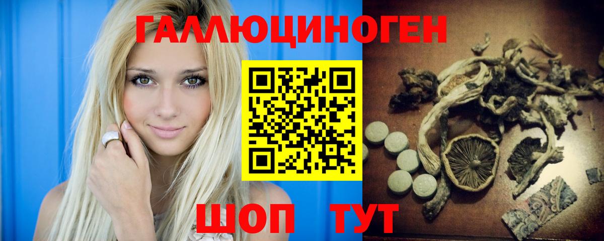 Владивосток  Галлюциногенные грибы Psilocybine cubensis  Вход с VPN 